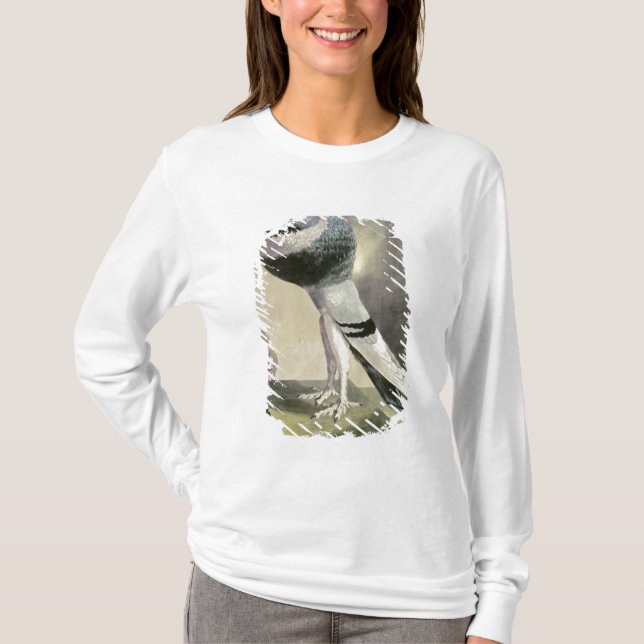 Portrait of Pouter Pigeon T-Shirt (Front)