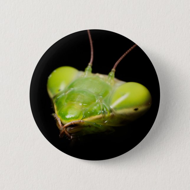 Portrait of praying mantis 6 cm round badge (Front)