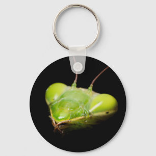 Portrait of praying mantis key ring