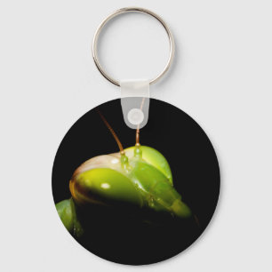 Portrait of praying mantis key ring