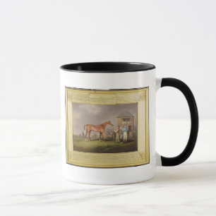Portrait of 'Quiz', the property of Lord Rous, aft Mug
