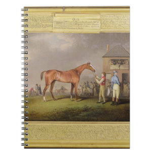 Portrait of 'Quiz', the property of Lord Rous, aft Notebook