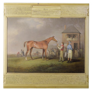 Portrait of 'Quiz', the property of Lord Rous, aft Tile