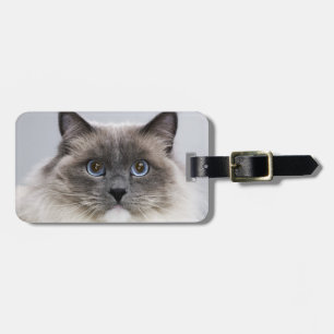 Portrait of Ragdoll Cat Luggage Tag
