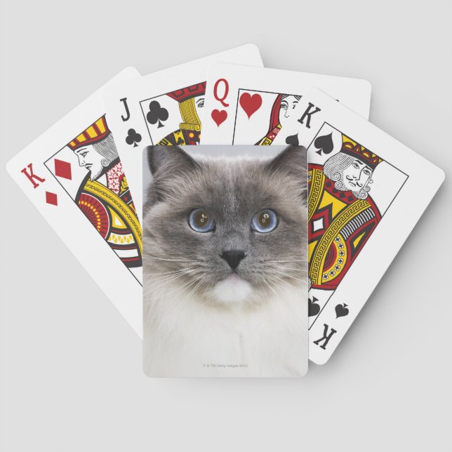 Portrait of Ragdoll cat Playing Cards (Back)