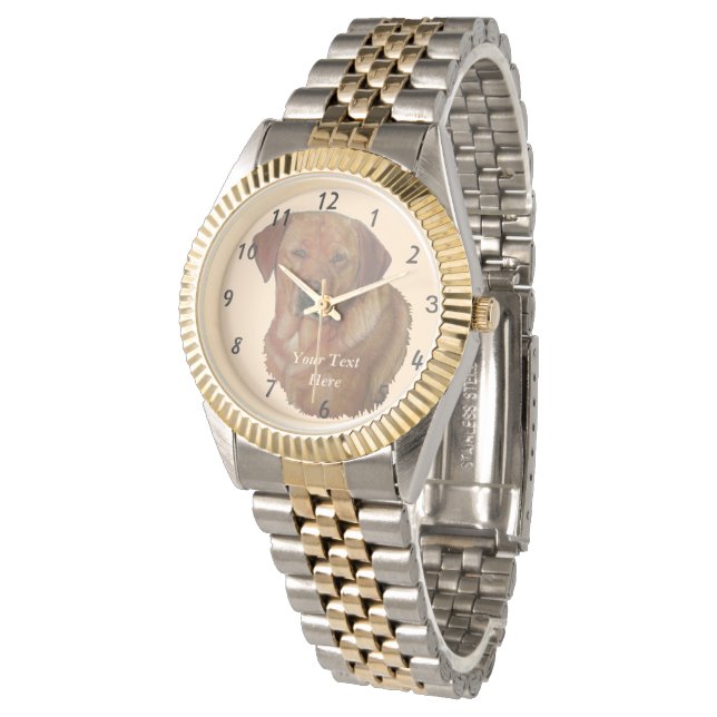 portrait of rare red golden labrador retriever dog watch (Angled)