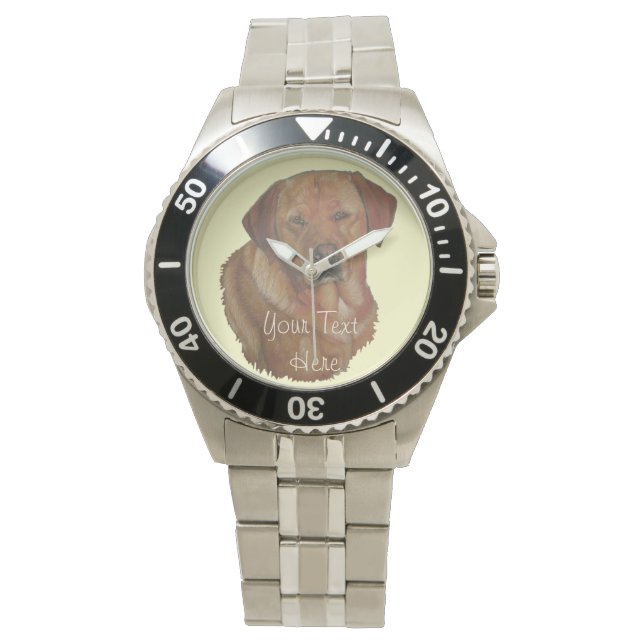 portrait of rare red golden labrador retriever dog watch (Front)