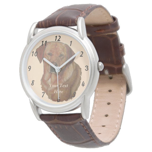 portrait of rare red golden labrador retriever dog watch (Angled)