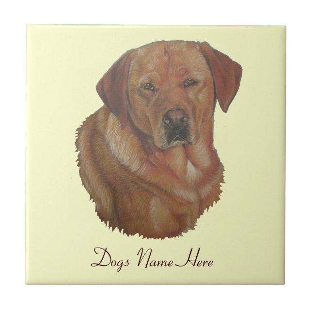 portrait of rare red labrador retreiver dog tile (Front)