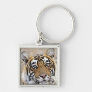 Portrait of Royal Bengal Tiger, Ranthambhor Key Ring