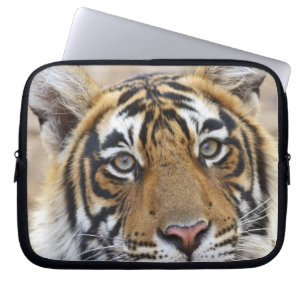 Portrait of Royal Bengal Tiger, Ranthambhor Laptop Sleeve