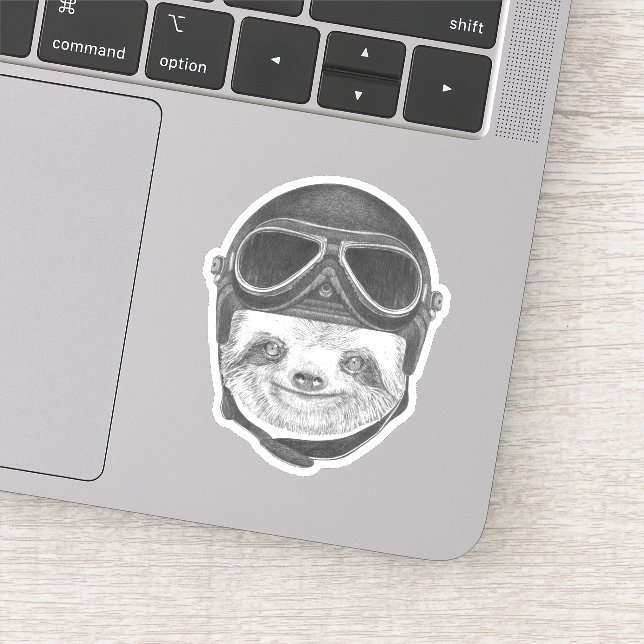 Portrait Of Sloth | Vintage Helmet (Detail)