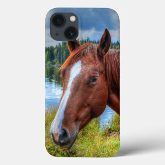 Portrait of Sorrel Mare & Scenic Lake Equine Photo iPhone 13 Case