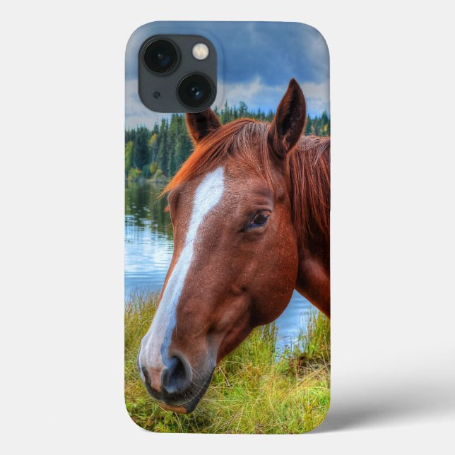 Portrait of Sorrel Mare & Scenic Lake Equine Photo Case-Mate iPhone Case (Back)