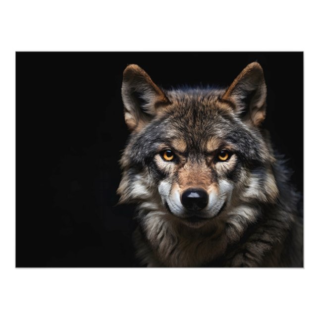 Portrait of the wolf photo print (Front)