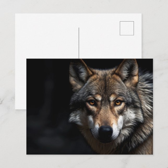 Portrait of the wolf postcard (Front/Back)