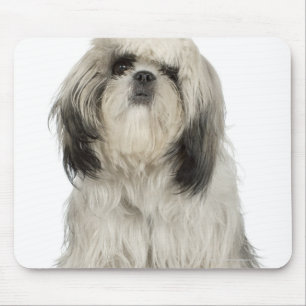 Portrait of Tibetan Terrier puppy Mouse Mat