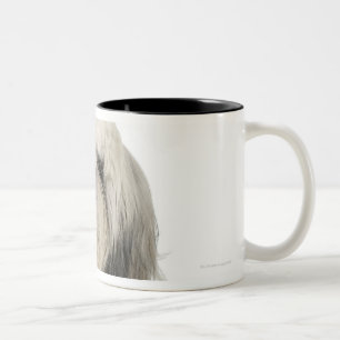 Portrait of Tibetan Terrier puppy Two-Tone Coffee Mug