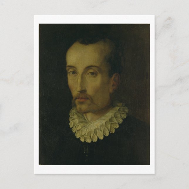 Portrait of Torquato Tasso, 1585-90 (oil on panel) Postcard (Front)