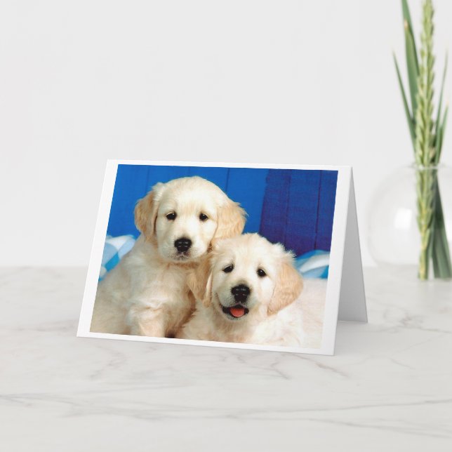 Portrait of two labrador pups holiday card (Front)