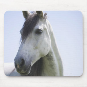 portrait of white horse mouse mat