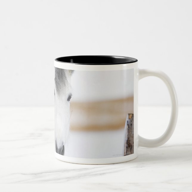 portrait of white horse Two-Tone coffee mug (Right)