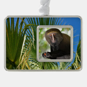 Portrait owl-faced monkey postcard square sticker silver plated framed ornament
