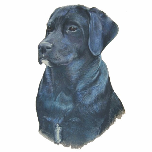 portrait painting of black labrador dog photo sculpture magnet (Front)