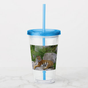 Portrait photo of a Siberian tiger Acrylic Tumbler