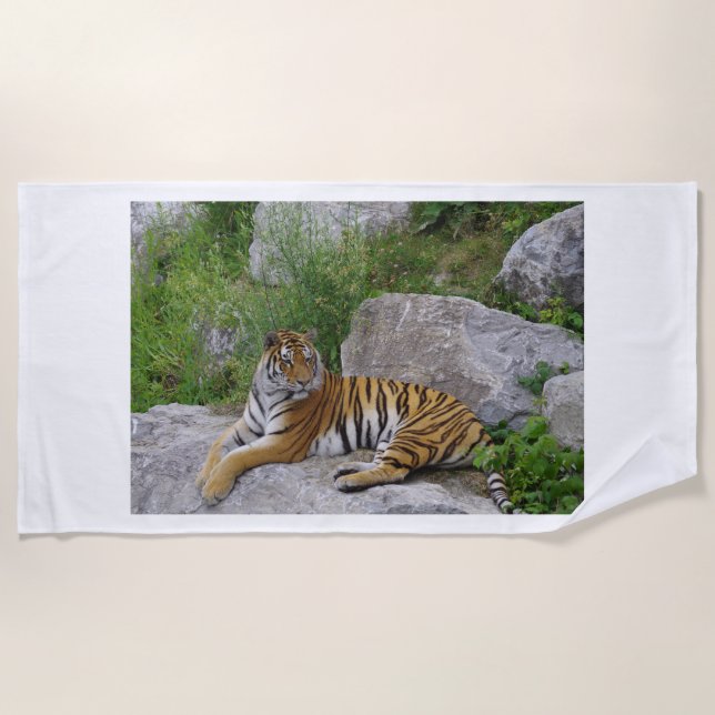 Portrait photo of a Siberian tiger Beach Towel (Front)