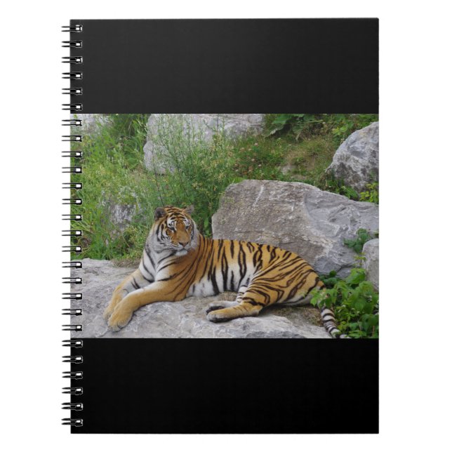 Portrait photo of a Siberian tiger Notebook (Front)