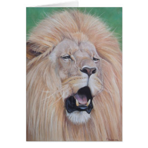 portrait picture of roaring Lion big cat wildlife