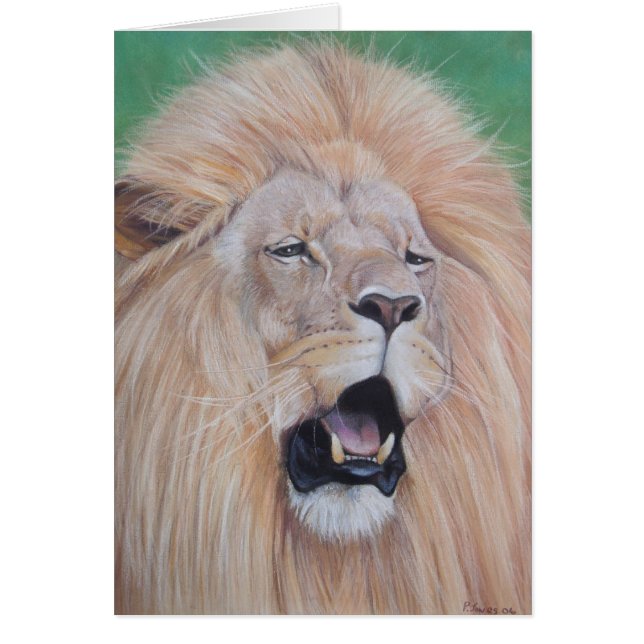 portrait picture of roaring Lion big cat wildlife (Front)