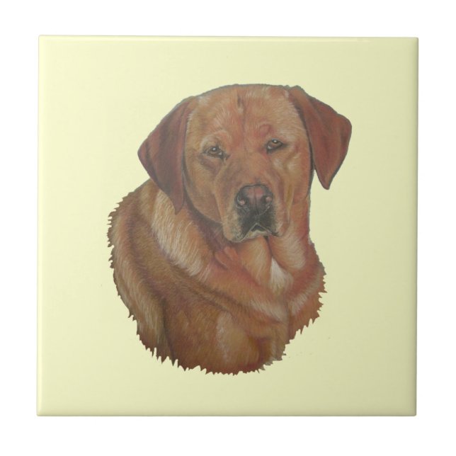 portrait picture rare red labrador retreiver dog tile (Front)