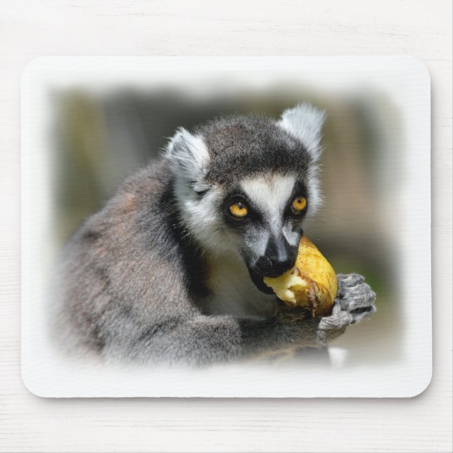 Portrait ring-tailed lemur eating a banana mouse mat (Front)