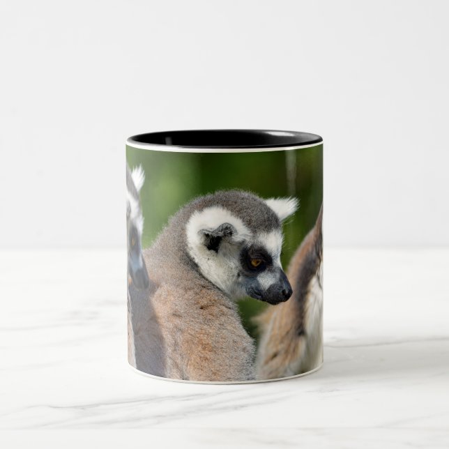 Portrait ring-tailed lemurs Two-Tone coffee mug (Center)