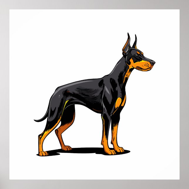 Portraits of a head Doberman dog front view Poster (Front)