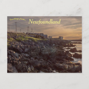 Portugal Cove Newfoundland Canada Postcard
