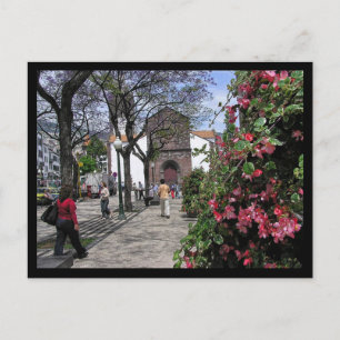 (Portugal) Funchal, Madeira Postcard