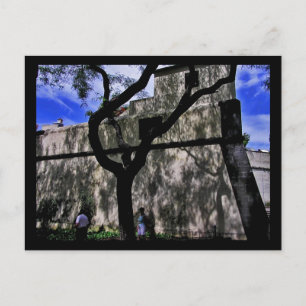 (Portugal) Funchal, Madeira Postcard