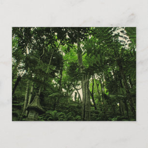 Portugal Madeira : Canopy of Lushness Postcard