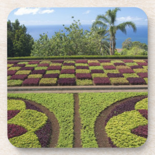 Portugal, Madeira Island, Funchal. Botanical Coaster