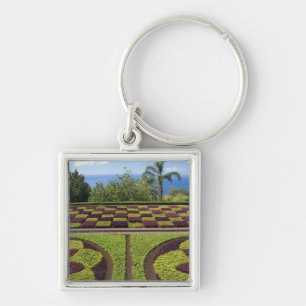 Portugal, Madeira Island, Funchal. Botanical Key Ring