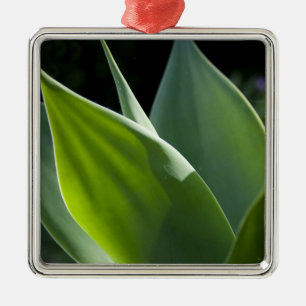 Portugal, Madeira Island, Funchal. Botanical Metal Tree Decoration