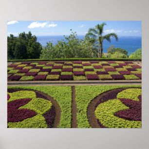 Portugal, Madeira Island, Funchal. Botanical Poster