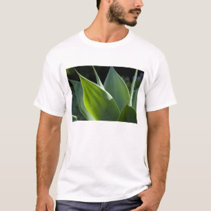 Portugal, Madeira Island, Funchal. Botanical T-Shirt