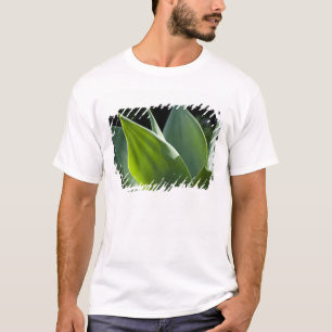 Portugal, Madeira Island, Funchal. Botanical T-Shirt