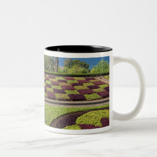 Portugal, Madeira Island, Funchal. Botanical Two-Tone Coffee Mug