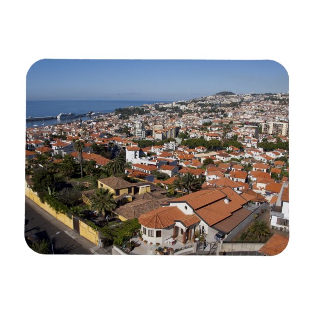 Portugal, Madeira Island, Funchal. Cable car Magnet (Horizontal)