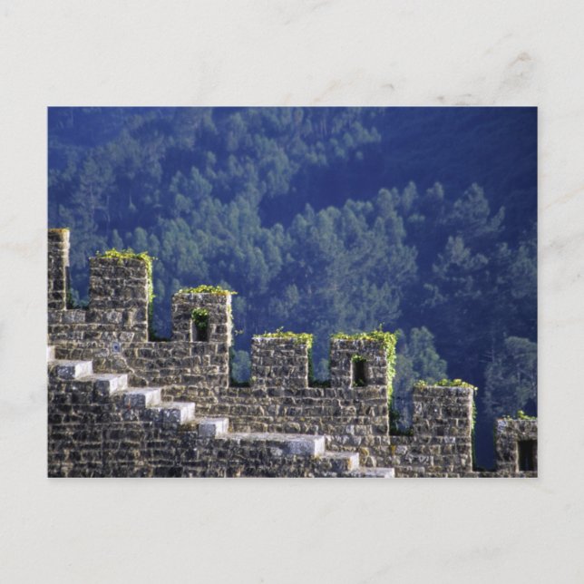 Portugal, Obidos. Steps by crenellated walls Postcard (Front)